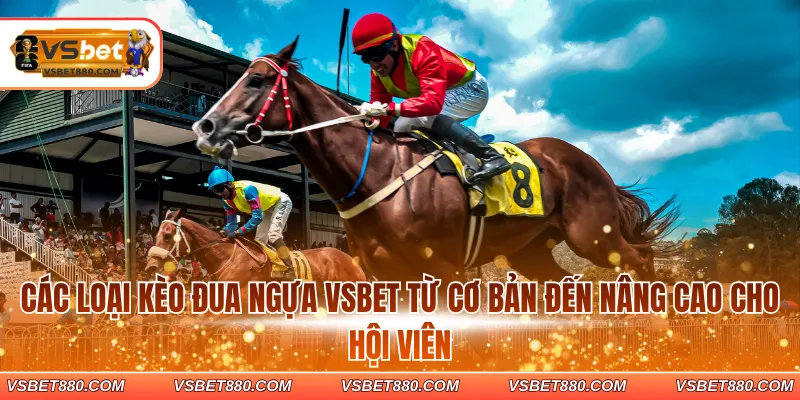 Các loại kèo đua ngựa VSBET từ cơ bản đến nâng cao cho hội viên