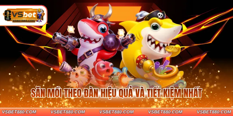 Săn mồi theo đàn hiệu quả và tiết kiệm nhất 